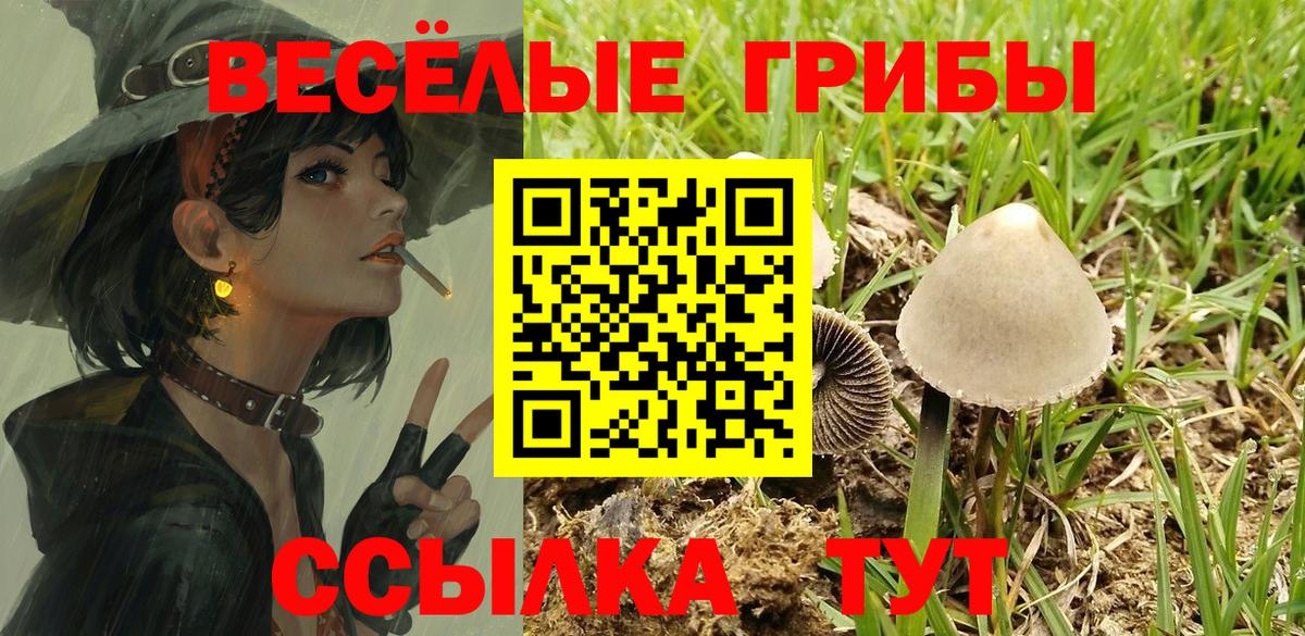 Дмитров  купить наркоту  Вход с VPN  Псилоцибиновые грибы мухоморы 